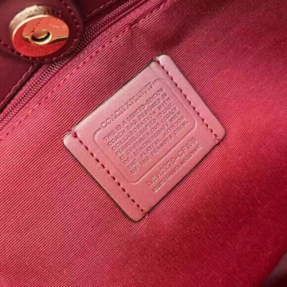 Coach Brown Tote with Snoopy and Woodstock - Picture 6 of 7